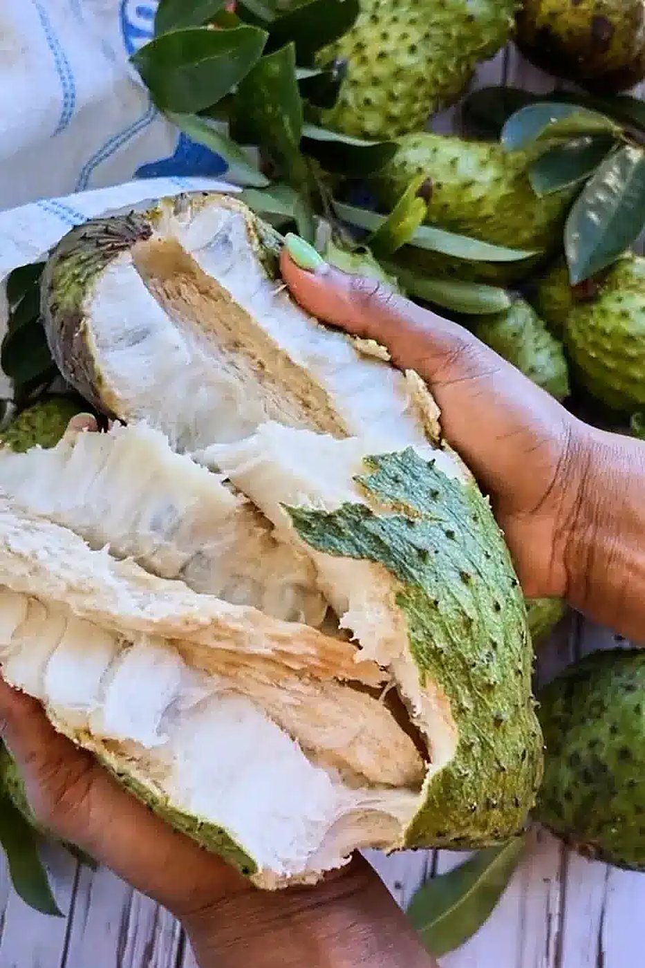 Hands breaking open a ripe guanabana (soursop) to reveal its soft white flesh