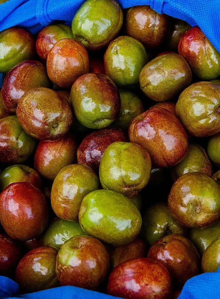 A blue sack full of green and red jocotes at a Costa Rican market