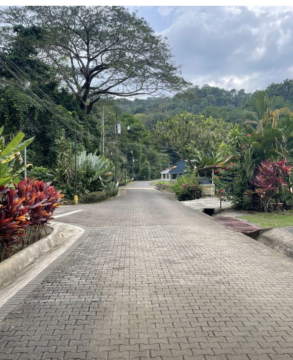 The tree-lined entrance road into the gated community at Punta Leona