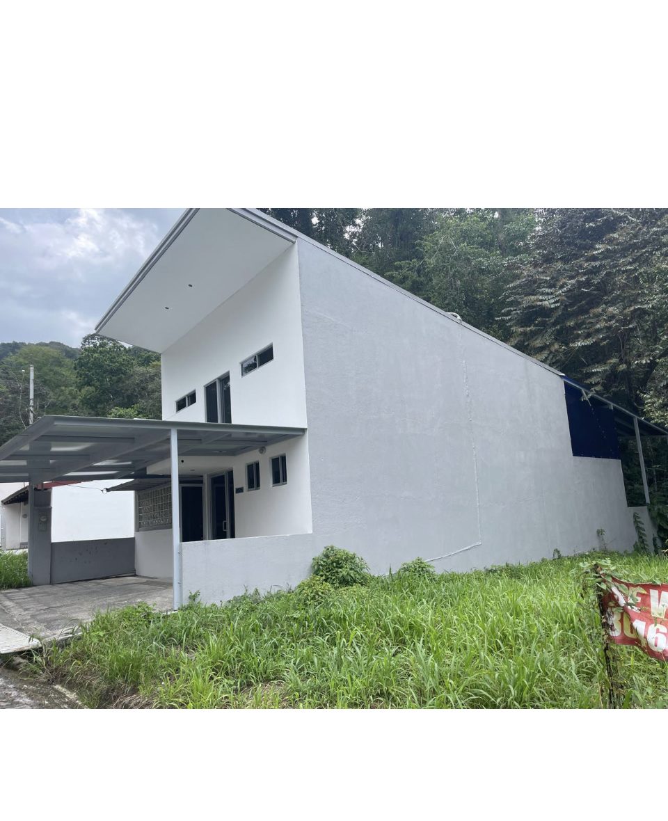 The building lot with neighboring houses and jungle backdrop