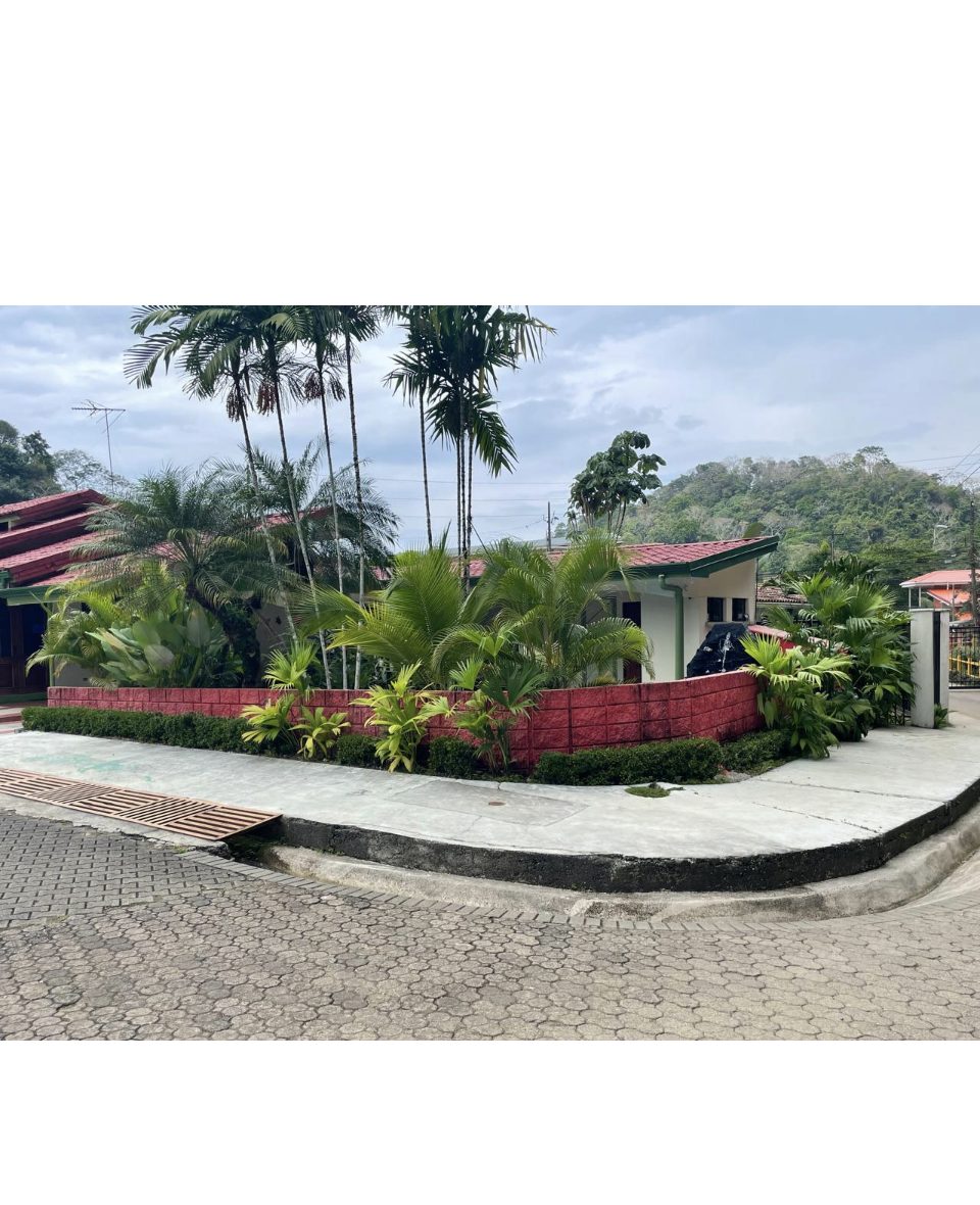 Landscaped community road lined with tropical plants