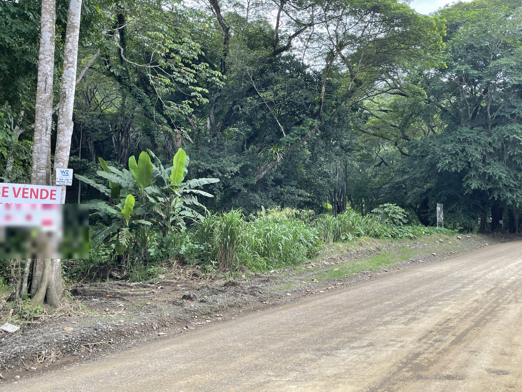 For-sale-by-owner building lot lined with tropical trees on a quiet road near Jaco