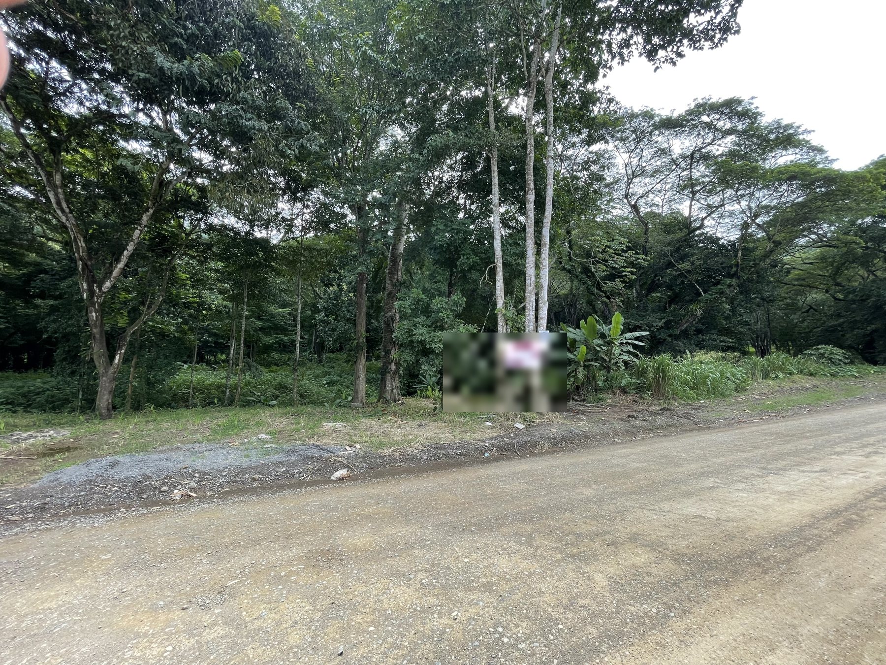 A wooded building lot for sale beside the road in a residential area near Jaco