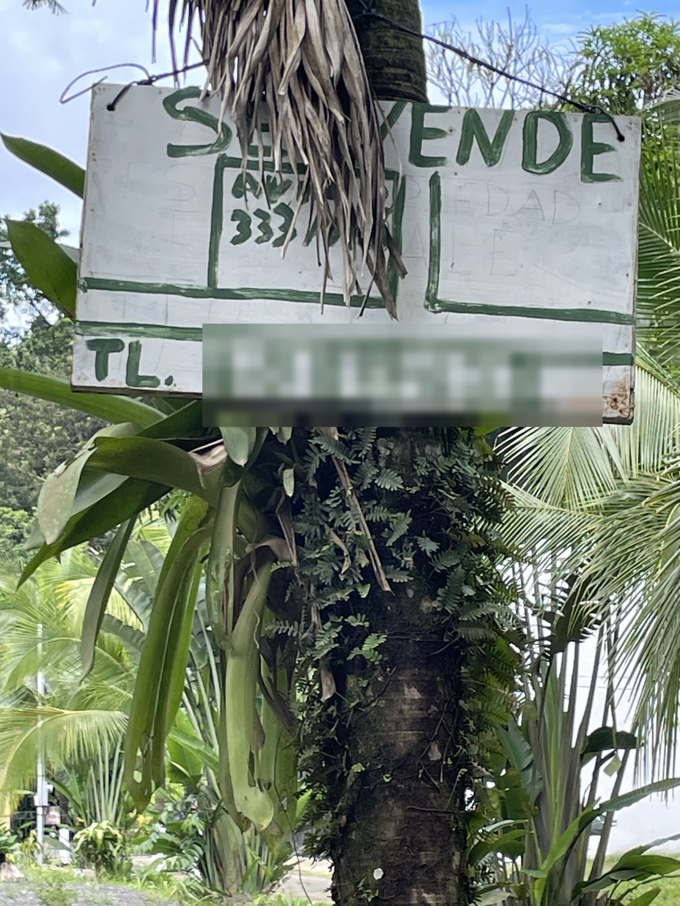 Se Vende for-sale-by-owner sign on the 333 m² building lot near Punta Leona and Playa Mantas — Jaco Beach real estate