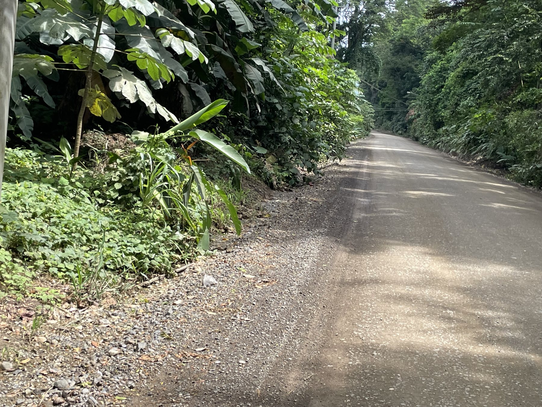 The paved jungle road to the building lot half a mile from white-sand Playa Mantas — best places to buy near Jaco Beach