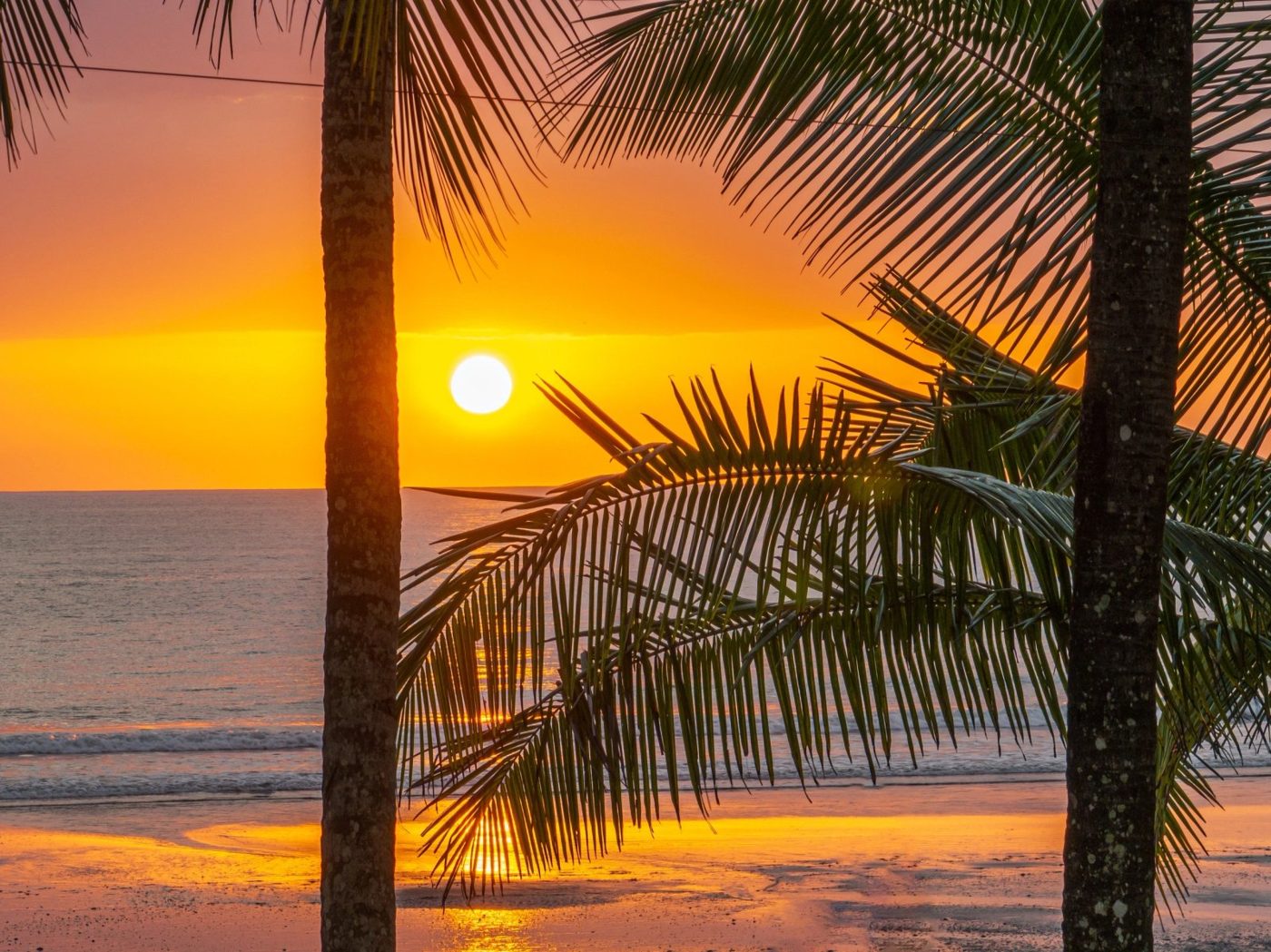 Casa VIP 1 luxury beachfront villa in Jacó — sunset through the palms