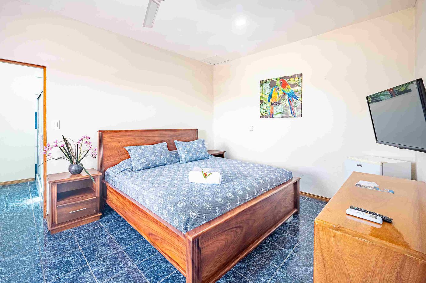 Casa VIP 13 — OZ Hotel, 14-suite beachfront hotel in Jacó, photo 32