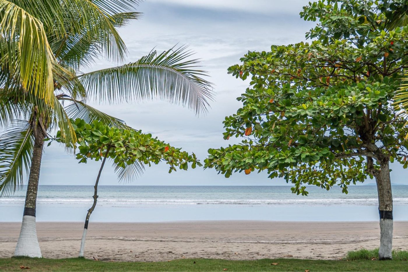 Casa VIP 9 — 17-suite beachfront villa in Jacó Beach, luxury suite, pool area or villa grounds