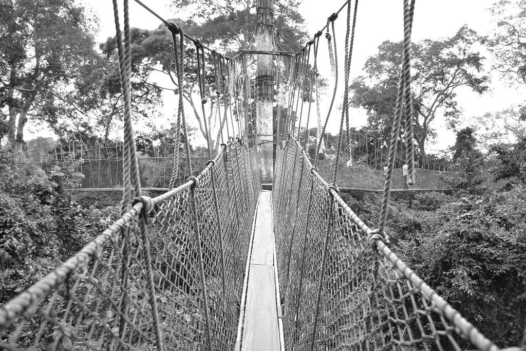 Hanging bridge in the rainforest