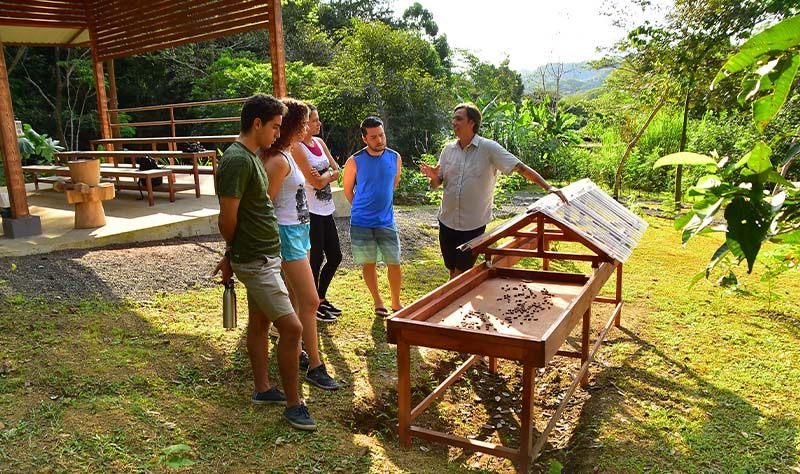 Cacao and chocolate