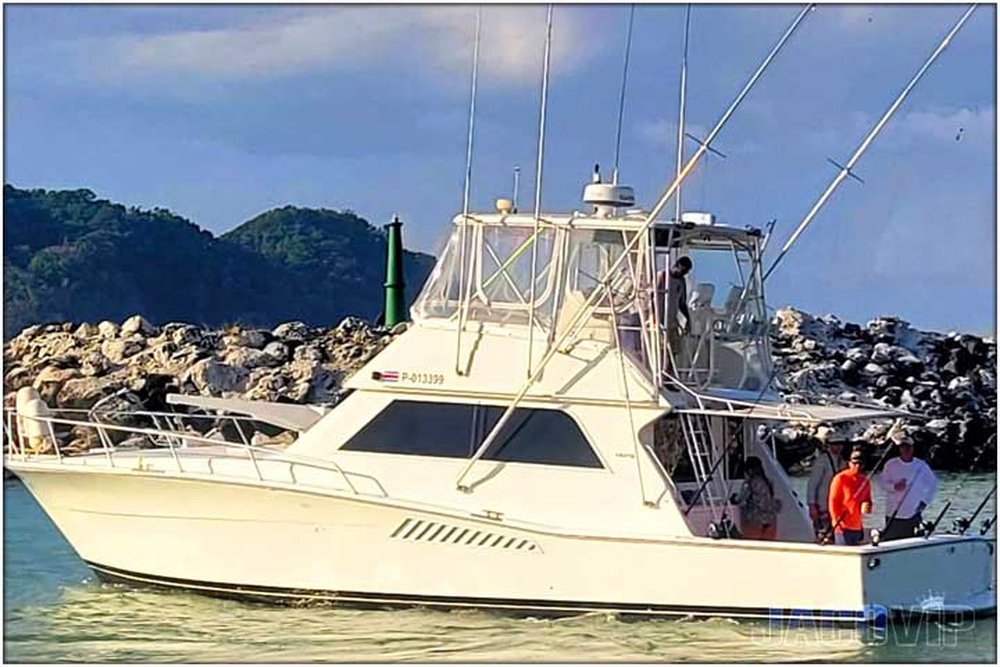 50' Viking Luxury Sportfish sport fishing charter at Los Sueños, Costa Rica