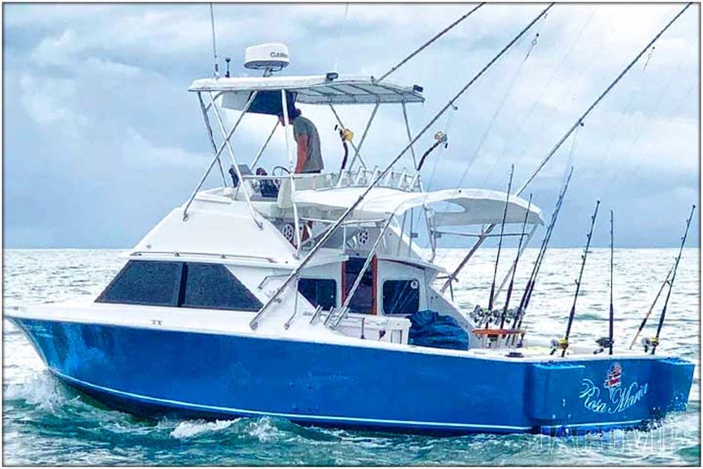 30' Bertram Sportfish sport fishing charter at Los Sueños, Costa Rica