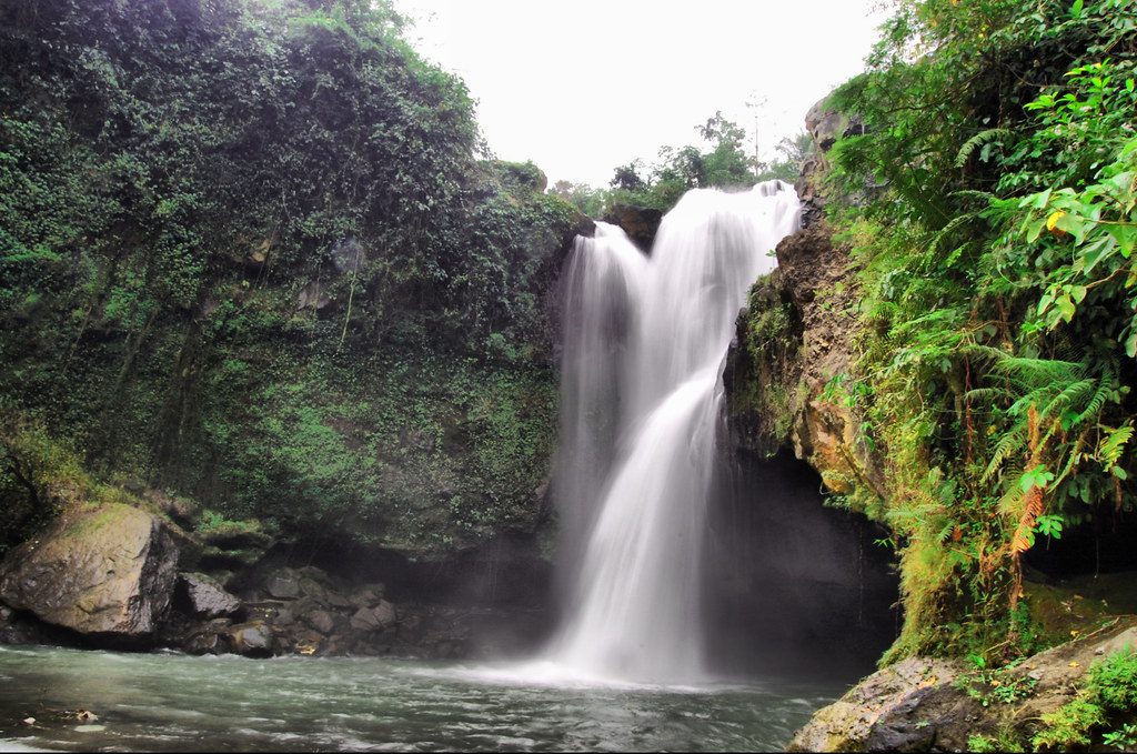 Rainforest waterfall