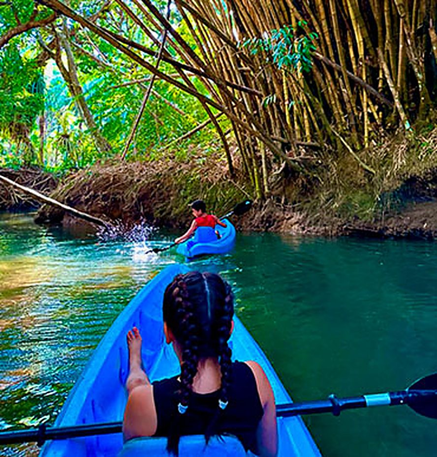 Kayaking through a calm blue mangrove channel