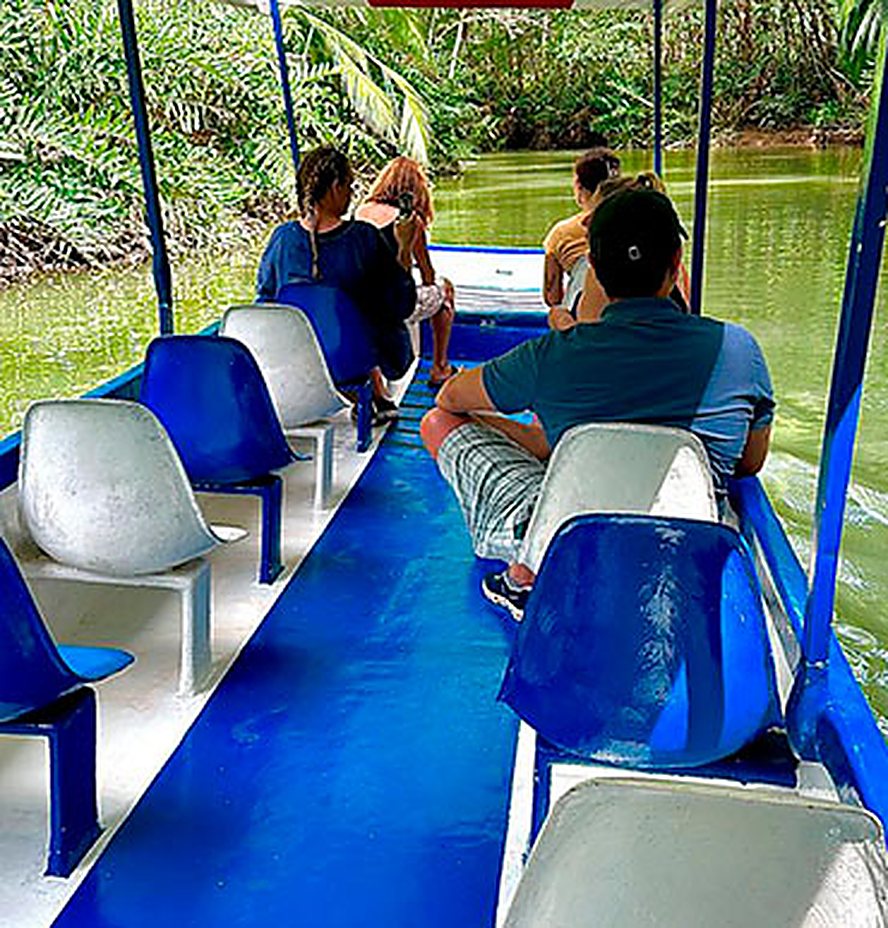 Boat gliding through the mangrove waterways