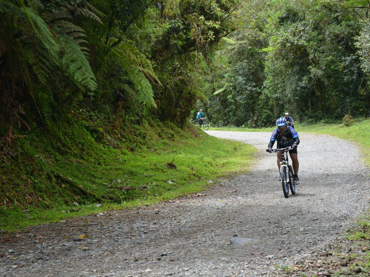 Rider on a jungle gravel road