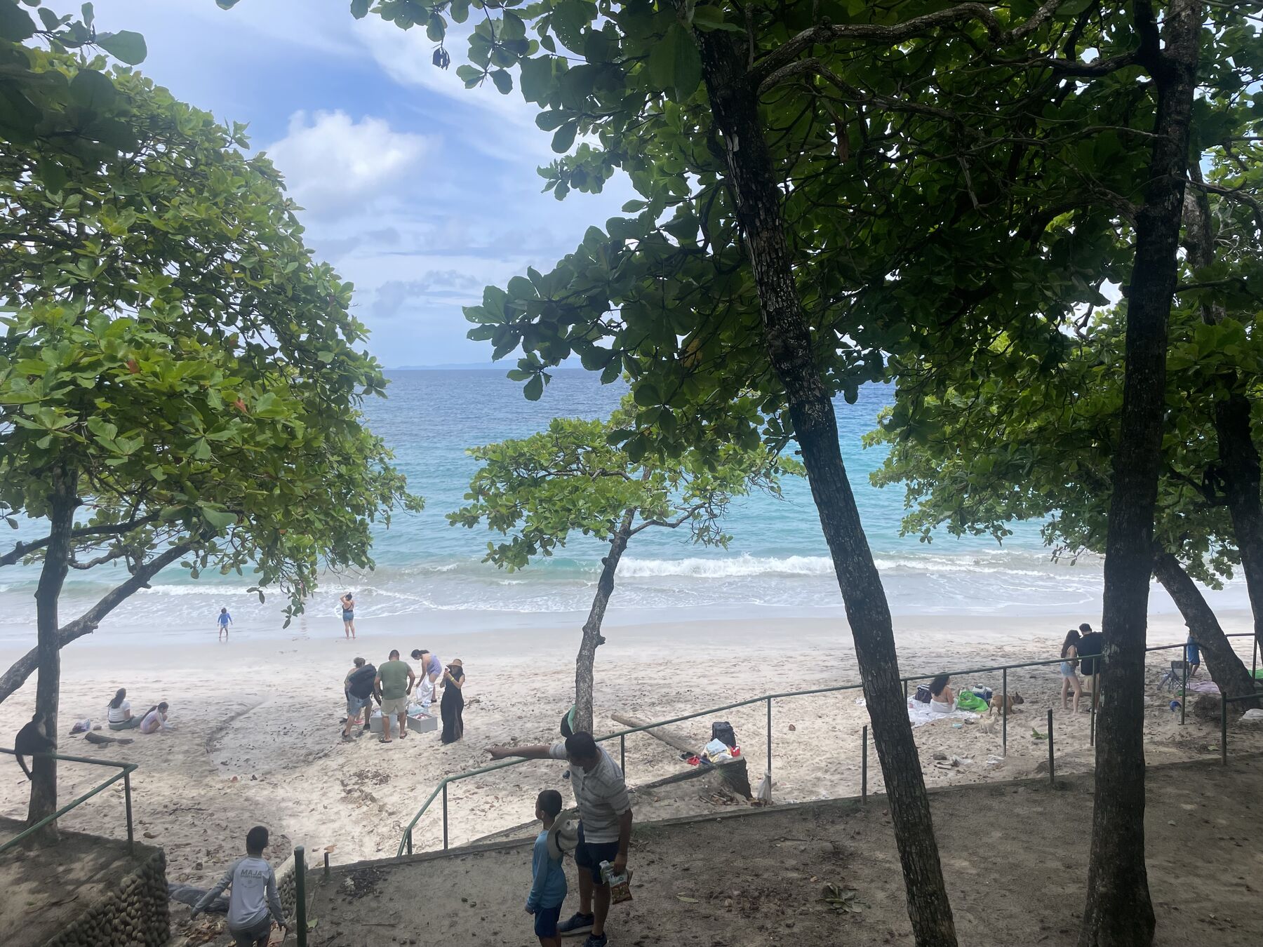 The cove framed by tropical trees