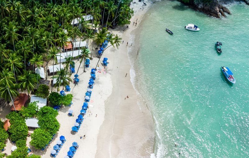 Catamaran cruising along the tropical coastline