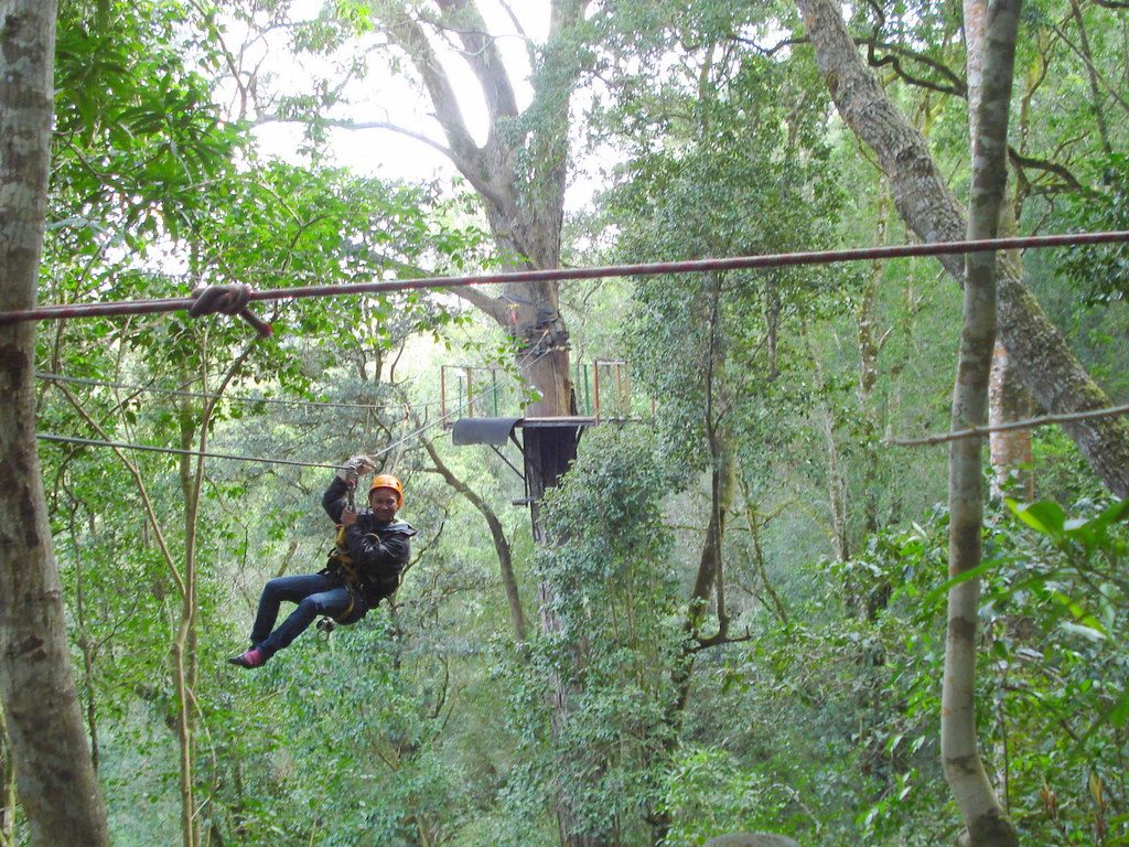 Zip-lining through the canopy